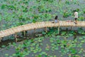 Top view of Asian tourists enjoy taking pictures on bamboo bridge over river with many lotuses. Happiness couple spending time