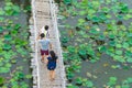 Top view of Asian tourists enjoy walking on bamboo bridge over river with many lotuses. Happiness family spending time together