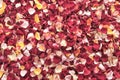 Top view of assorted colors of fresh rose petals background pattern. Royalty Free Stock Photo