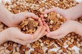 Top view, Assorted nuts in the four child hands