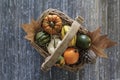 Top view of autumn composition with basket with different pumpkins, cone pines and dry leaves on blue background