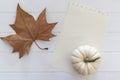 Top view of autumn composition with dry leaf, white pumpkin and blank page with copy space Royalty Free Stock Photo