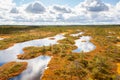 Top view of autumn landscape. Huge bog in Estonia Royalty Free Stock Photo