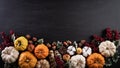 Top view of  Autumn maple leaves with Pumpkin and red berries on black wooden background. Thanksgiving day concept Royalty Free Stock Photo