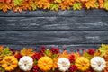 Top view of Autumn maple leaves with Pumpkin and red berries on old wooden backgound. Royalty Free Stock Photo