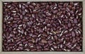 Top view of azuki bean Vigna angularis seeds Royalty Free Stock Photo