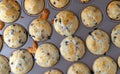 Top view baked blueberry muffins in a pan Royalty Free Stock Photo