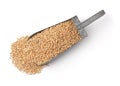 Top view of barley seeds in old metal scoop Royalty Free Stock Photo