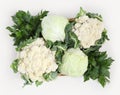 Top view basket of cabbage, cauliflowers and celery isolated on