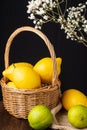 Top view of basket with lemons, burlap with limes, on wooden table, white flowers out of focus, black background, Royalty Free Stock Photo