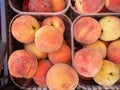 Top view of baskets of peaches Royalty Free Stock Photo