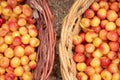 Top view of baskets with ripe yellow sweet cherries