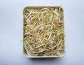 top view, bean sprouts in the container