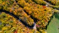 View of beautiful asphalt roadway and orange trees during autumn season. Curvy forest road Royalty Free Stock Photo