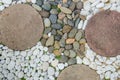 Top view of beautiful rocks and green plant Royalty Free Stock Photo