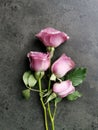 Top view of a beautiful bouquet of purple roses on the table Royalty Free Stock Photo