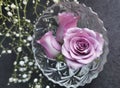 Top view of a beautiful bouquet of purple roses in the transparent vase on a table Royalty Free Stock Photo