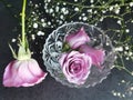Top view of a beautiful bouquet of purple roses in the transparent vase on a table Royalty Free Stock Photo
