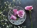 Top view of a beautiful bouquet of purple roses in the transparent vase on a table Royalty Free Stock Photo