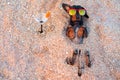 Top view beautiful dog of dachshund, black and tan, buried in the sand at the beach sea on summer vacation holidays, wearing red s Royalty Free Stock Photo