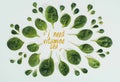 top view of beautiful fresh green leaves and words i need vitamine sea Royalty Free Stock Photo