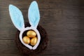 Top view of beautiful golden Easter eggs in bird nest with blue bunny rabbit ears headband on rustic brown wooden surface Royalty Free Stock Photo