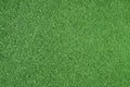 Top view of beautiful green grass texture. Royalty Free Stock Photo