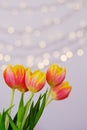 Top view of beautiful pink, yellow tulips on blue background with bokeh. Greeting card. 8 March. Mother`s Day. Happy Women. Royalty Free Stock Photo