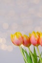 Top view of beautiful pink, yellow tulips on blue background with bokeh. Greeting card. 8 March. Mother`s Day. Happy Women. Royalty Free Stock Photo