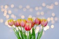 Top view of beautiful pink yellow tulips on blue background. Greeting card. Mother\'s Day. Happy Women\'s Day. Royalty Free Stock Photo