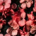 Top view of a beautiful seamless pattern with blooming geranium flowers in vibrant colors Royalty Free Stock Photo