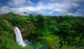 Top View of a Beautiful Waterfall in Hawaii Royalty Free Stock Photo