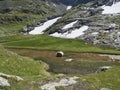 Top view of beautiful wetland with spring stream, alpine mountain meadow called Paradies with lush green grass and snow Royalty Free Stock Photo