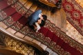 Top view on beautiful young bride and handsome groom kissing at old stairs with the background of gorgeous wooden Royalty Free Stock Photo