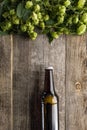 Top view of beer in bottle with green hop above on wooden table. Royalty Free Stock Photo