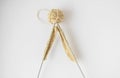 Top view beige yarn and knitting needles on a white background Royalty Free Stock Photo