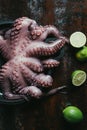 top view of big raw octopus in saucepan on rusty surface Royalty Free Stock Photo