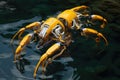 top view of a biohybrid robot swimming in water