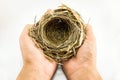 Top view of Bird`s nest on the hands with white background Royalty Free Stock Photo