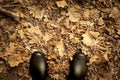 Top view of black boots over fallen leaves ground. Royalty Free Stock Photo