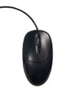 Top view of black computer mouse on isolated white background Royalty Free Stock Photo