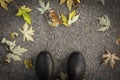 Top view of black rubber boots on fallen leaves ground. Royalty Free Stock Photo