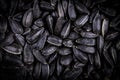Top view of black sunflower seeds. Organic natural food background. Sunflower seeds are suitable for microgreens sprout Royalty Free Stock Photo