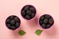 Top view of blackberry fruits in bowls on pink background