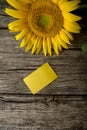 Top view of blank yellow greeting card and a beautiful blooming