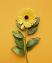top view blooming flower. High quality photo