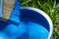 Top view of blue paint can, can lid, new brush on green grass Royalty Free Stock Photo