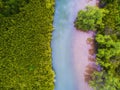 Top view of colorful river and mangrove forest in Thailand Royalty Free Stock Photo
