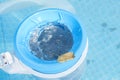 Top view of the blue skimmer for cleaning the pool in clear water. Contaminated pool cleaning concept Royalty Free Stock Photo