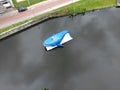 Top view of a blue whale statue on the Dender River in Dendermonde, Belgium